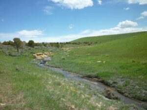 The ColoWyo Mine is has won awards for the land it reclaims and turns into protected habitats for wildlife.