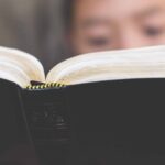 lightstock_116270_medium_user_7047940